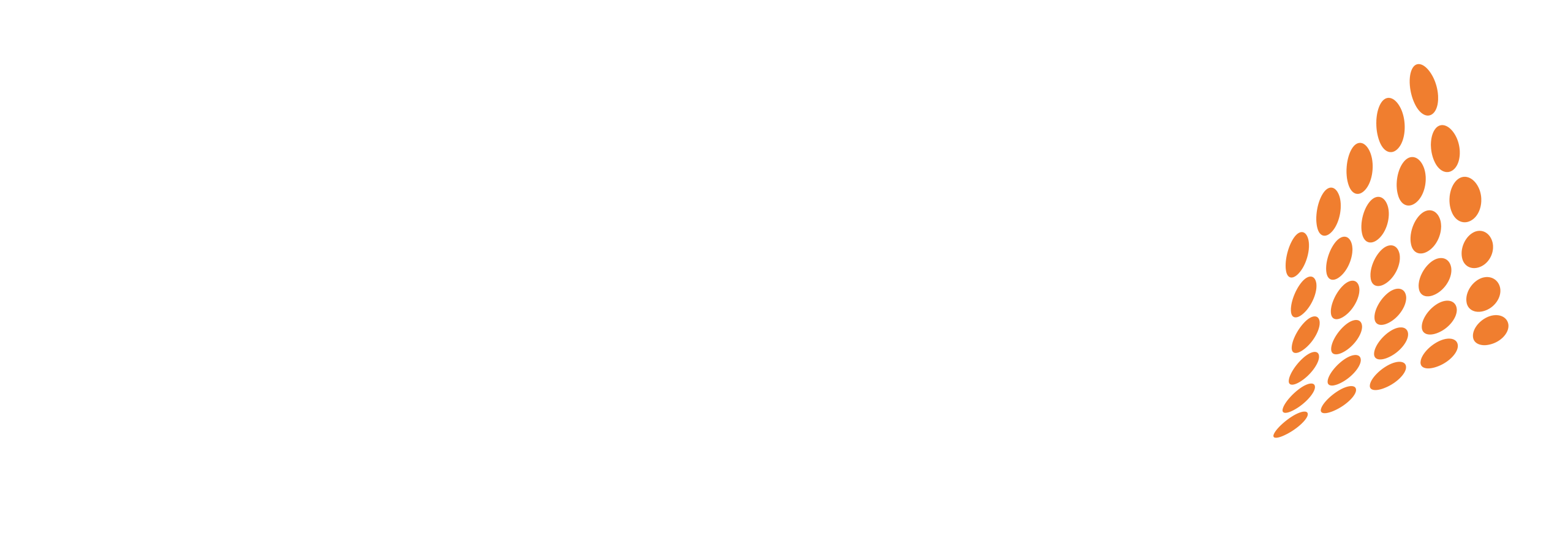 Preferred Cybersecurity & IT Logo