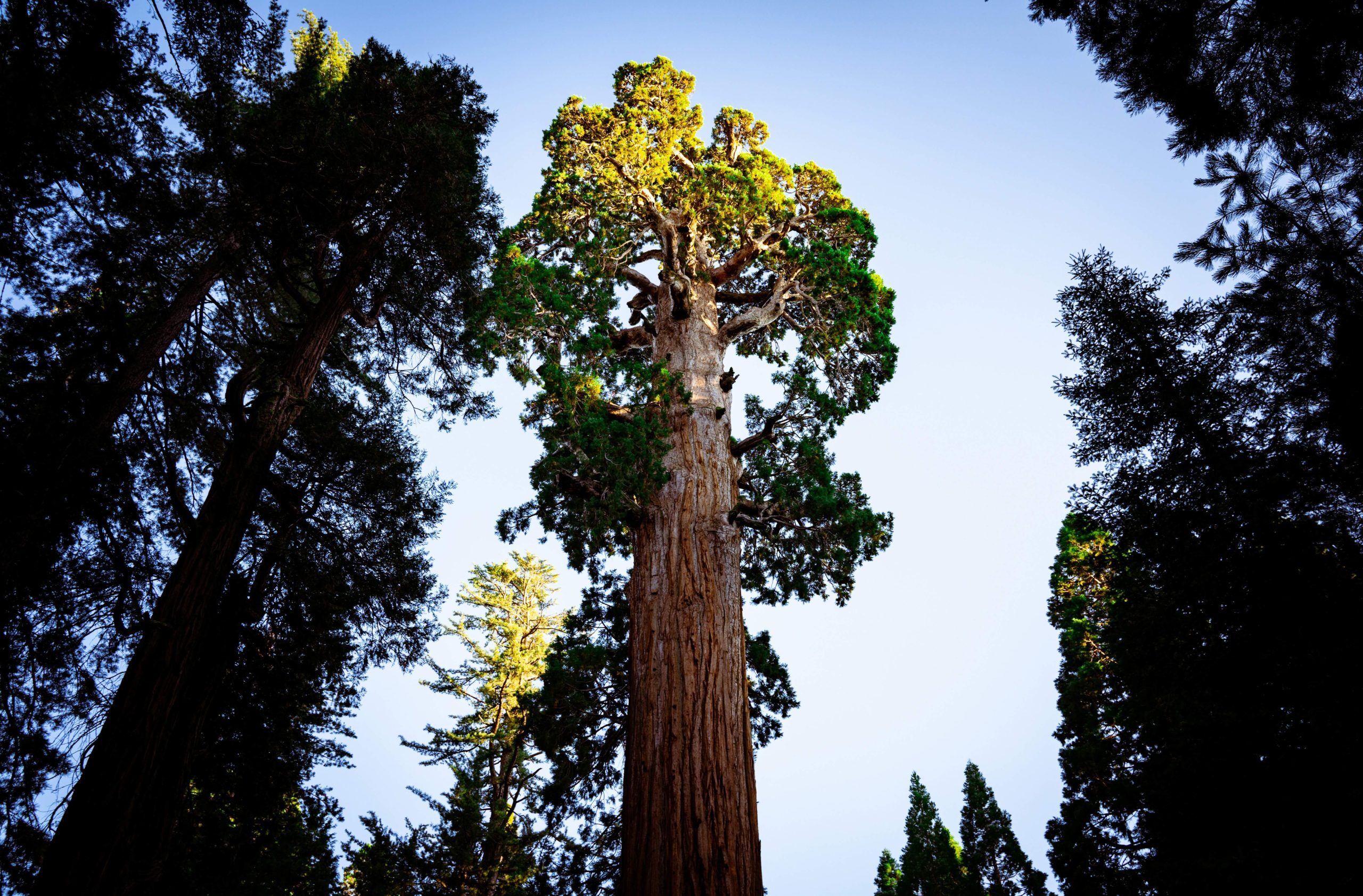 What Operational Maturity Looks Like in 2026